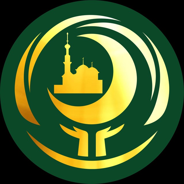 Главная